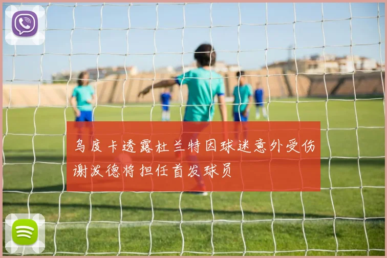 乌度卡透露杜兰特因球迷意外受伤谢泼德将担任首发球员