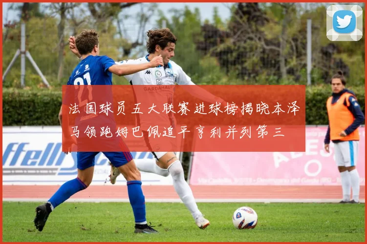 法国球员五大联赛进球榜揭晓本泽马领跑姆巴佩追平亨利并列第三