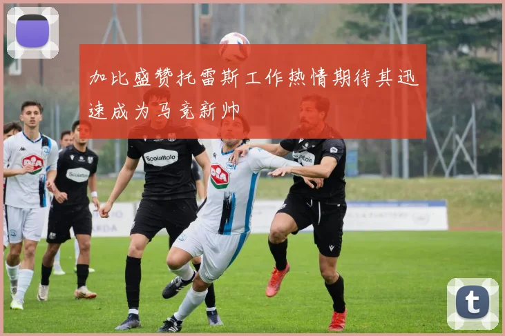 加比盛赞托雷斯工作热情期待其迅速成为马竞新帅