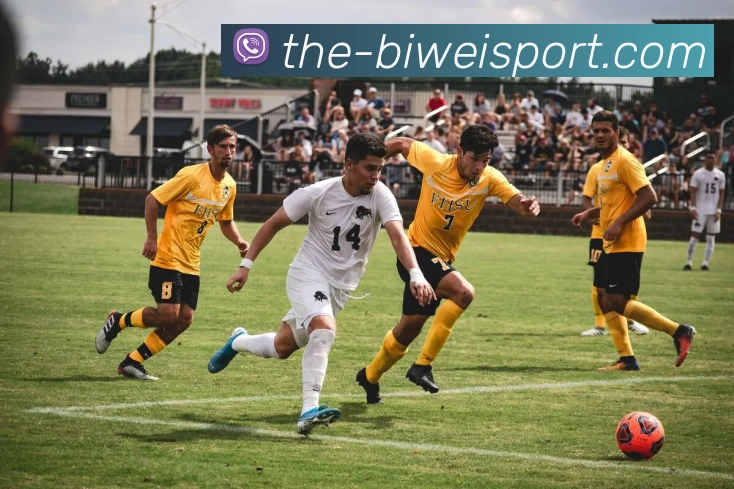 必威体育平台生态图